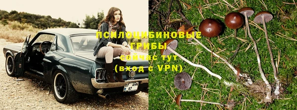 гидра Армянск