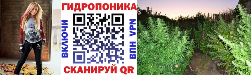 Бошки Шишки индика Бабаево