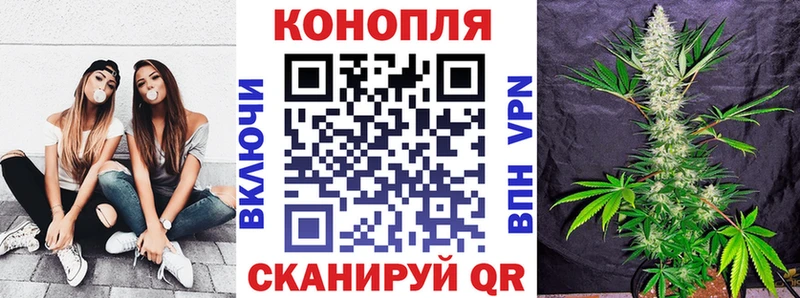 купить наркотик  Бабаево  Шишки марихуана план 